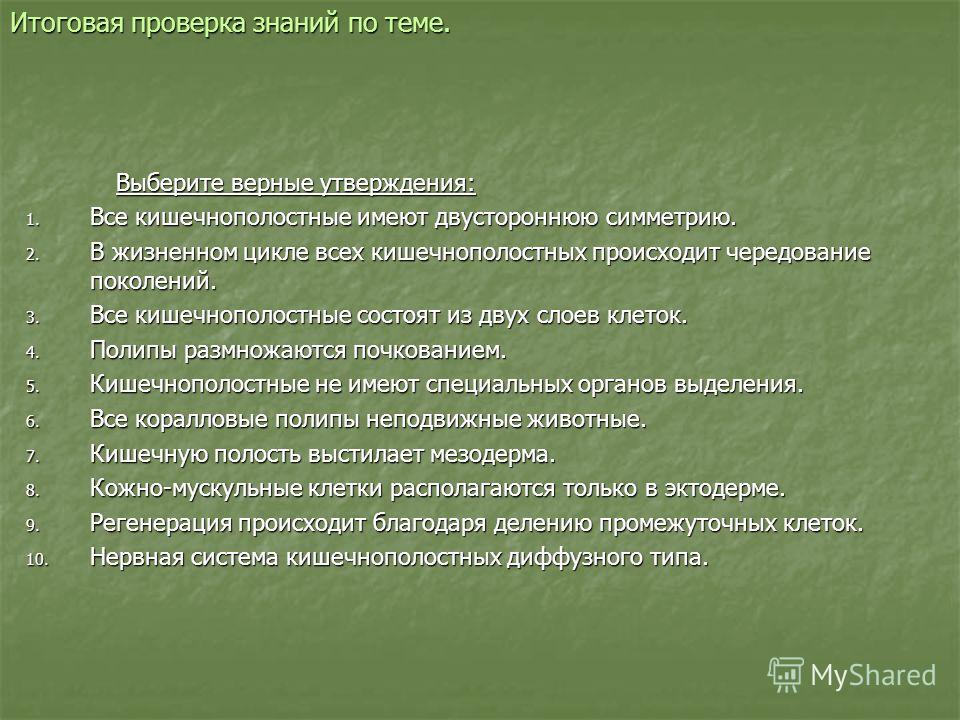 Кракен это даркнет маркетплейс