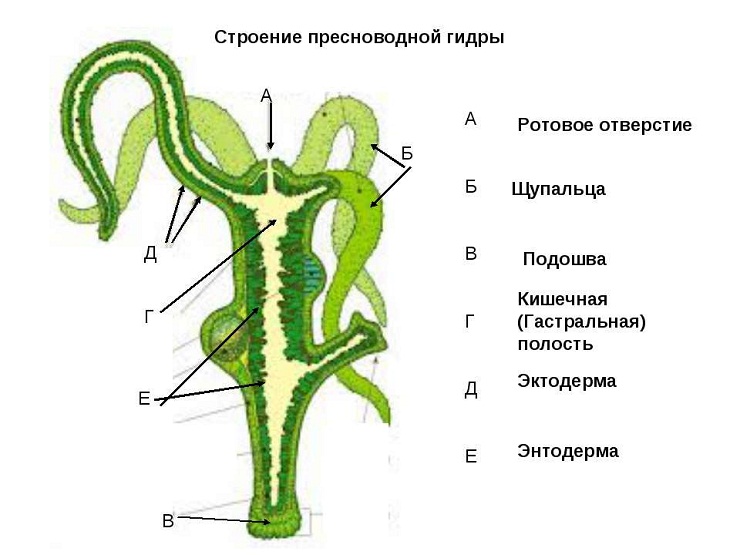 Кракен актуальная ссылка на сегодня